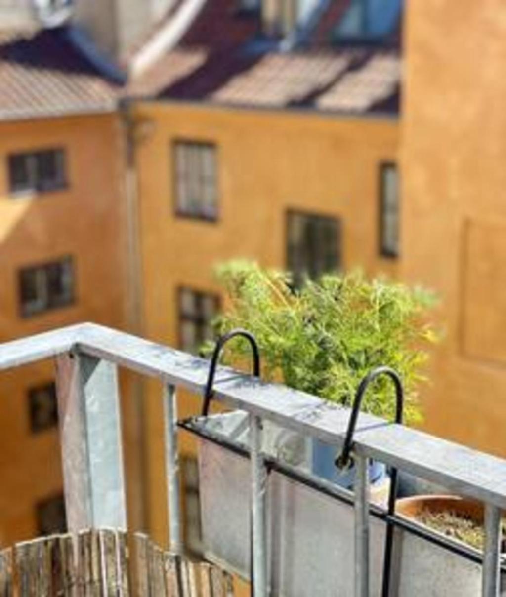 Royal * København